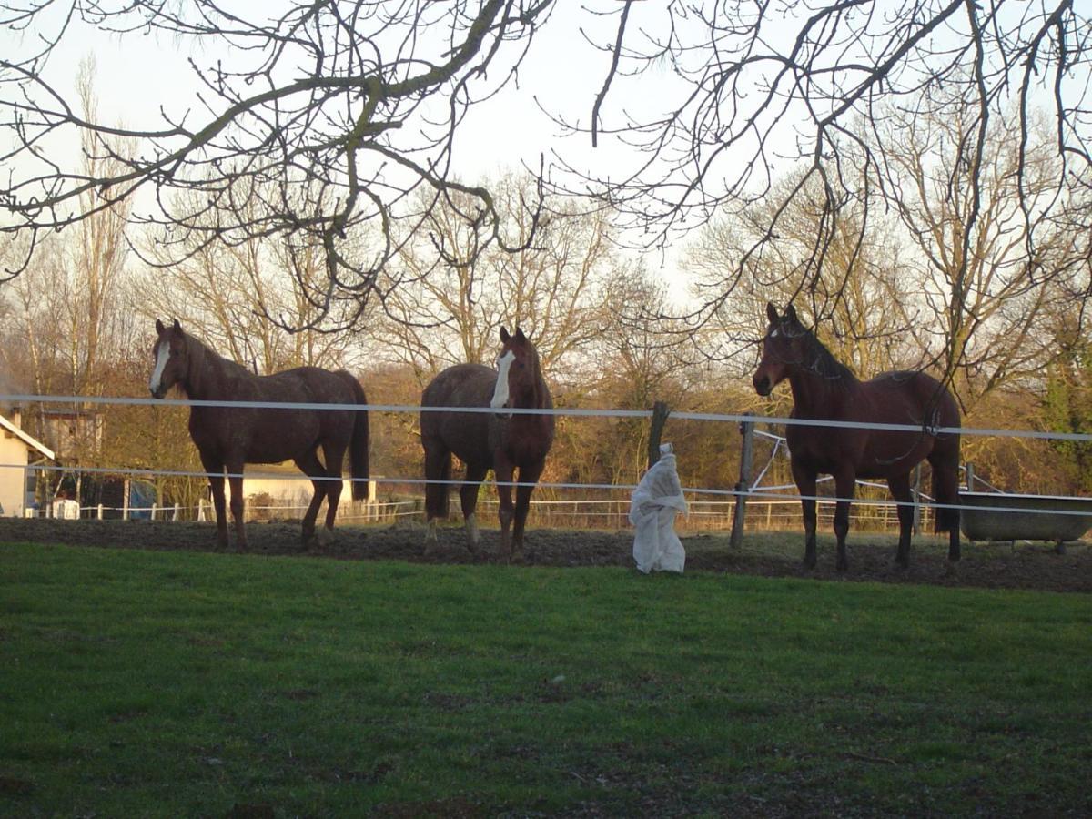 Ferme Passion Bed & Breakfast Saint-Trivier-sur-Moignans Exterior photo